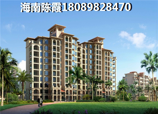 瓊海XG政策 瓊海XG政策