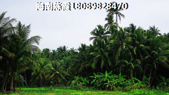 航天椰林灣的優(yōu)缺點你知道哪些 航天椰林灣的優(yōu)缺點你知道哪些