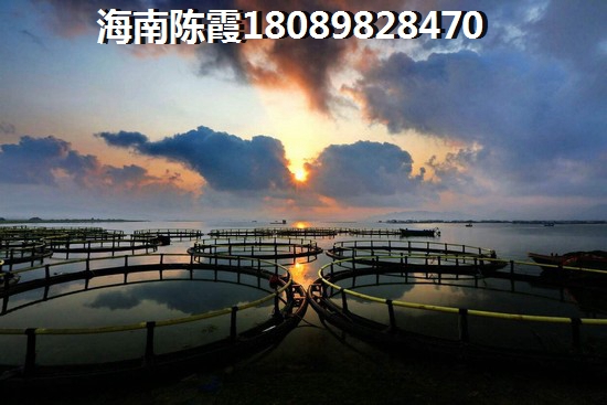 陽(yáng)江花苑口碑怎么樣？4