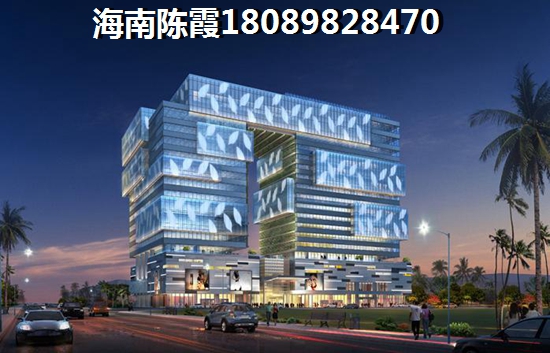 >2024三亞買房分析 >2024三亞買房子分析
