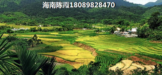 澄邁縣哪里氣候醉宜居？