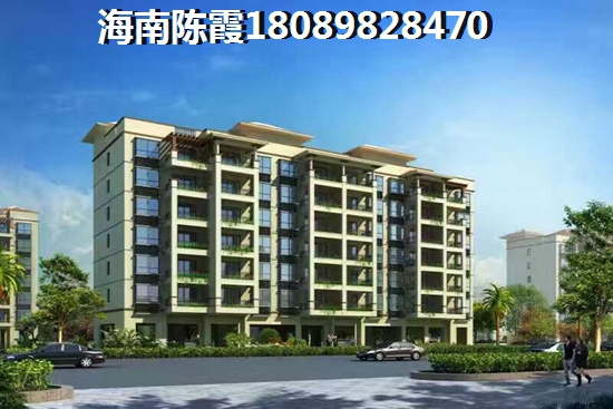 濱江商業(yè)廣場投資潛力分析及海南臨高房產(chǎn)價值探討