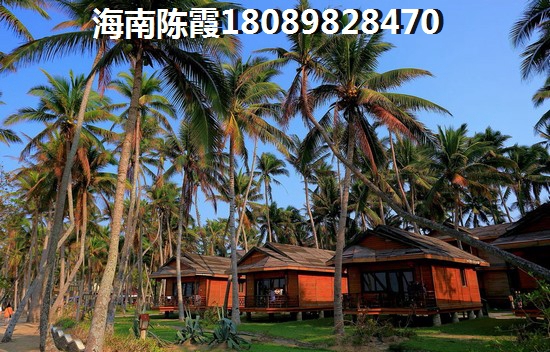 碧桂園中央半島·壹灣匯生紙潛力解讀